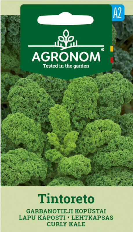 Jarmuż Tintoreto o smacznych mocno karbowanych liściach nasiona 1g AGRONOM sklep rajogrodnik